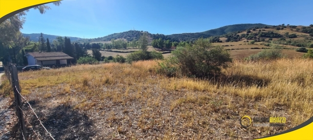 Terreno Agricolo pianeggiante Sardegna