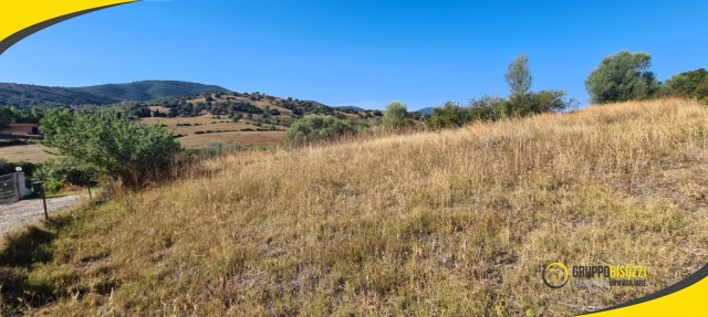 Terreno Agricolo pianeggiante Sardegna