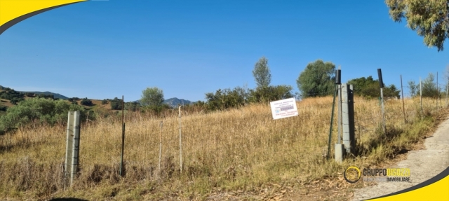 Terreno Agricolo pianeggiante Sardegna