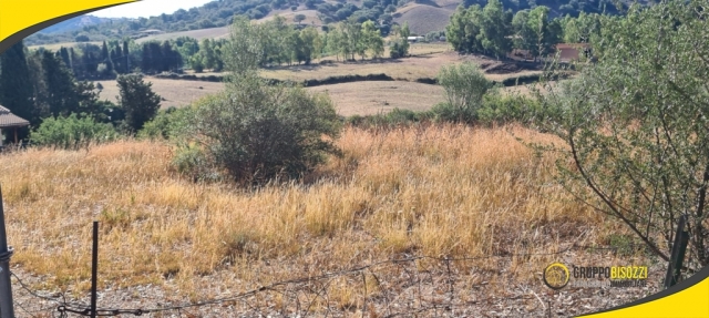 Terreno Agricolo pianeggiante Sardegna