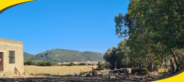 Terreno Agricolo pianeggiante Sardegna