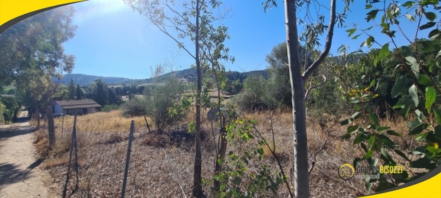 Terreno Agricolo pianeggiante Sardegna