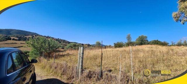 Terreno Agricolo pianeggiante Sardegna