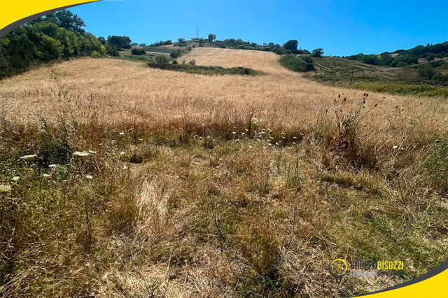 Terreno agricolo con allaccio elettrico e pozzo