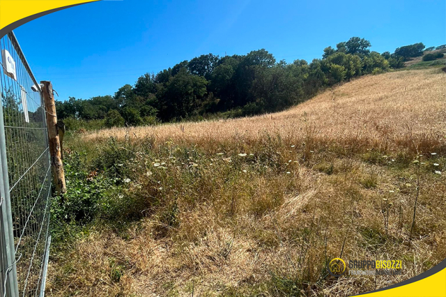 Terreno agricolo con allaccio elettrico e pozzo