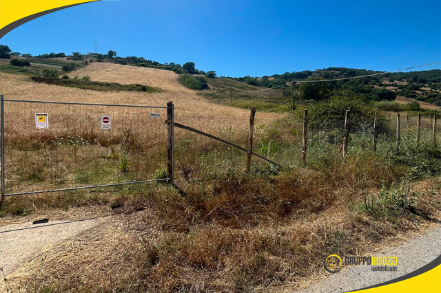 Terreno agricolo con allaccio elettrico e pozzo