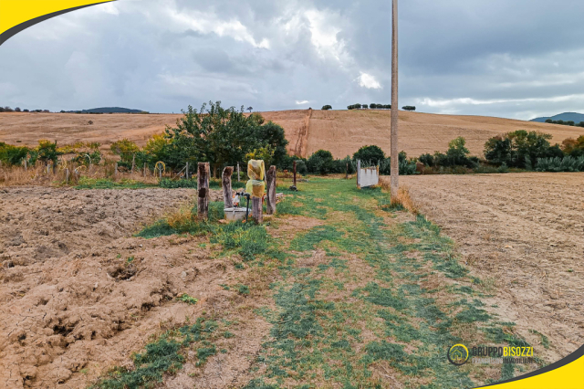 Terreno agricolo con pozzo e allaccio elettrico