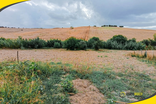 Terreno agricolo con pozzo e allaccio elettrico