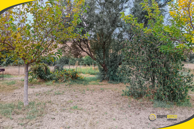 Terreno agricolo con pozzo e allaccio elettrico