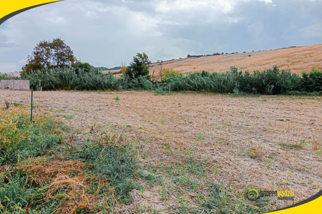 Terreno agricolo con pozzo e allaccio elettrico