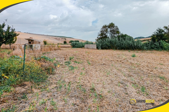 Terreno agricolo con pozzo e allaccio elettrico