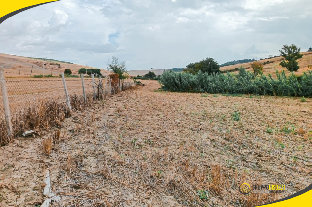 Terreno agricolo con pozzo e allaccio elettrico