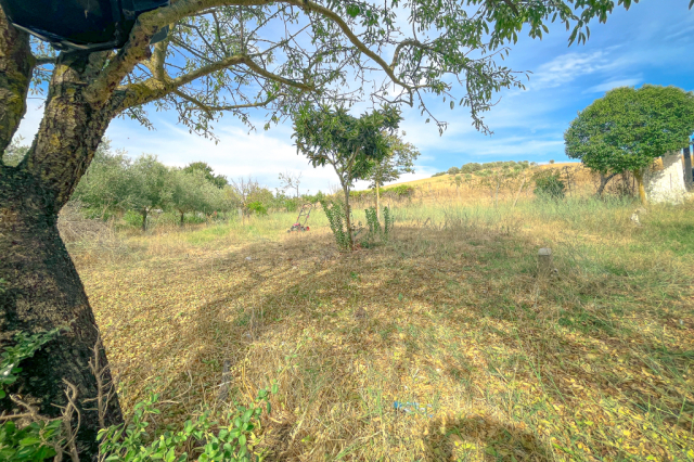 Angolo di paradiso zona Farnesiana