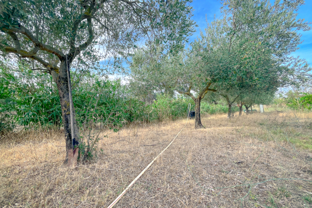 Angolo di paradiso zona Farnesiana