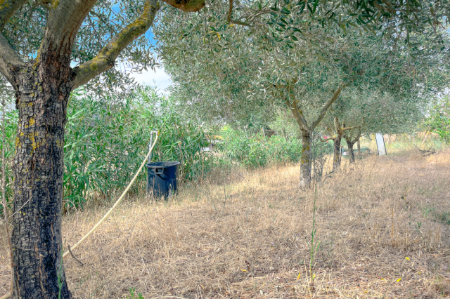 Angolo di paradiso zona Farnesiana